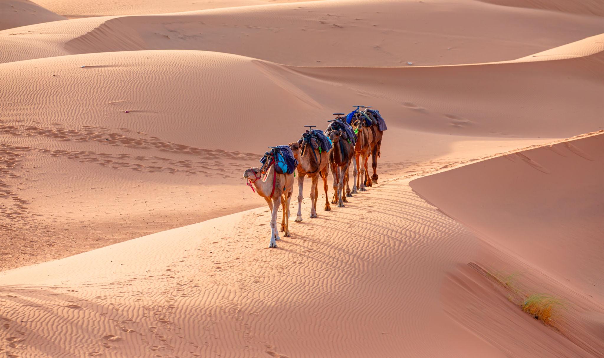 MOROCCO — DESTINATION PRESENTATION